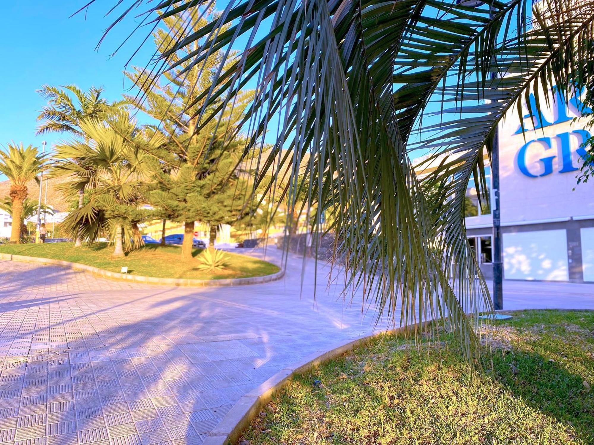 Tropicalidays Cristianos Angel Apartment Los Cristianos  Ngoại thất bức ảnh